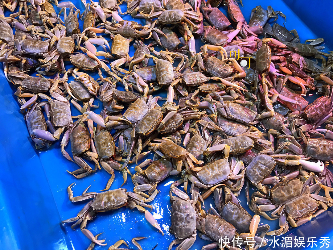 爸妈|端午节请爸妈来家吃饭,六个菜4个粽子300元,你觉得还好吗