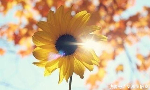 马未都:过去江湖中,还是有身怀绝技的人的,我当知青时就见到过