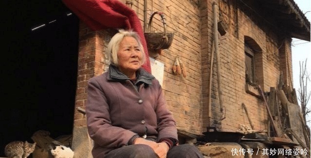 夜猫|俗语:“夜猫不进无病家,燕子不入苦寒门”,古人智慧让人佩服