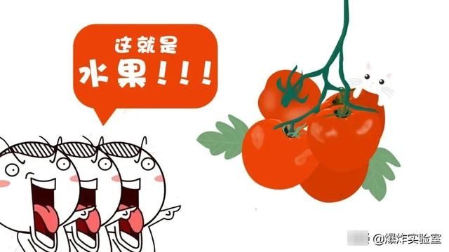 蔬菜|什么？关于番茄是蔬菜还是水果，竟然在100年前闹上过法庭？