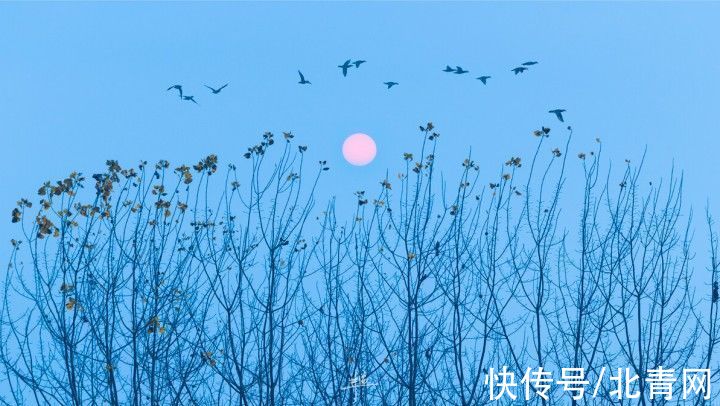 大片|早晨的西湖什么样？凌晨三四点起床，杭州建筑师拍下难得一见的“诗画”大片