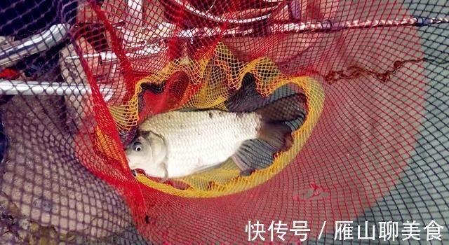 辈子|野钓大半辈子，竟然才知道诱鱼最管用的方法，你尝试过了吗