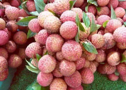 养生|女性不想满脸皱纹,可以多吃3种食物,美容养生,身体棒棒哒!