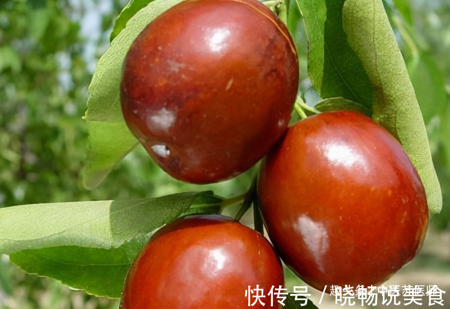 食物|女性秋天养生,不妨常吃3种食物,滋补身体,排毒活血,越吃越好