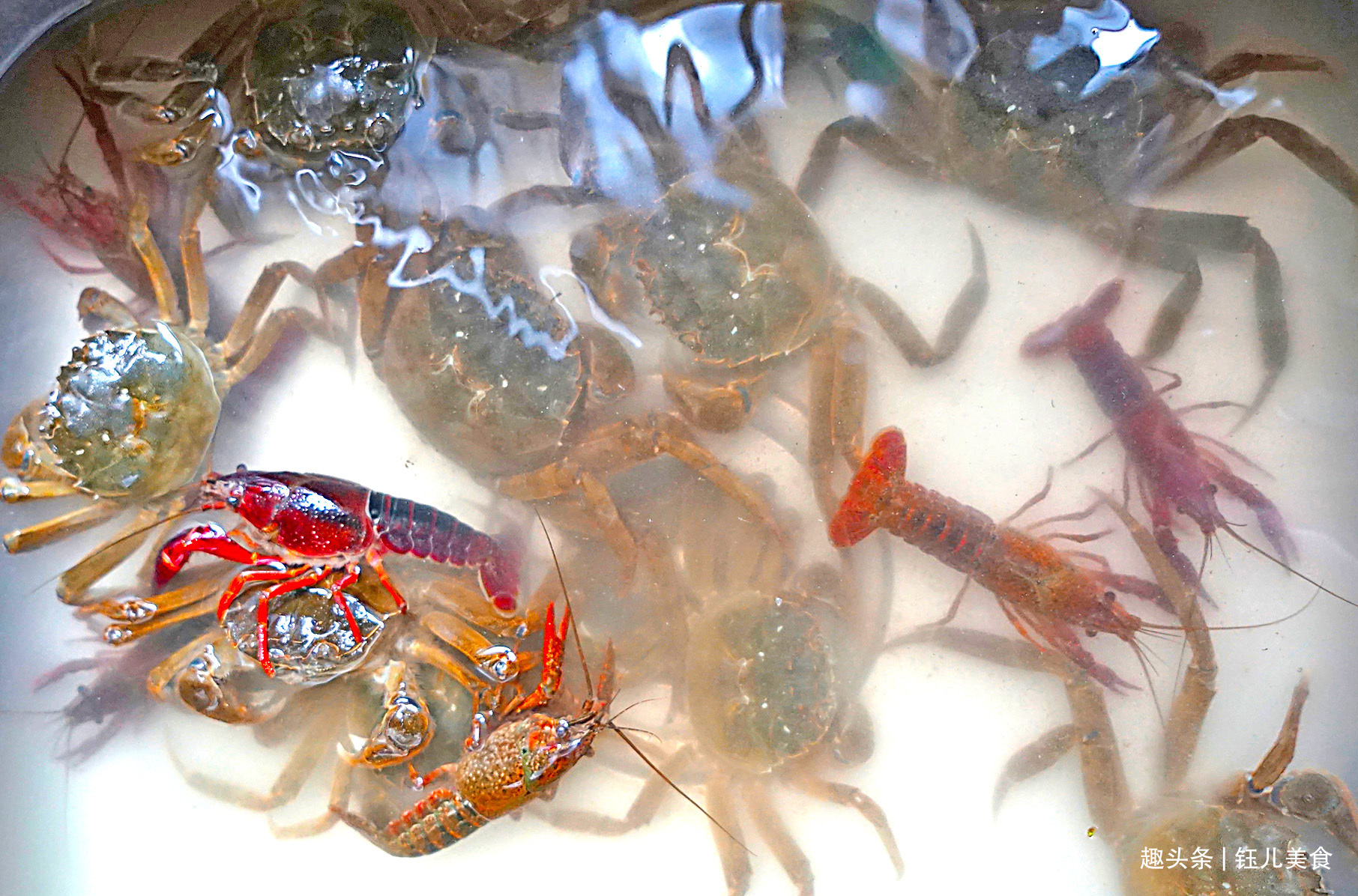 入秋后,螃蟹此做法太实用了,不油炸不清蒸,味道鲜美还不掉蟹脚!
