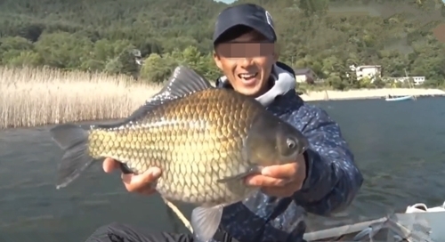 大鲫鱼|野外大河幸运钓获大鲫鱼,一般人很少遇到这么大的鲫鱼