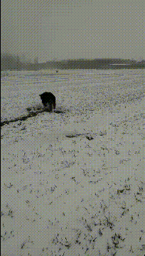 |搞笑GIF:现实和网络上的妹子差距好大,她根本就不合我的胃口