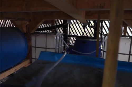 种菜|他用40棵松树，在荒山野林建起小屋，屋顶种菜生活自给自足