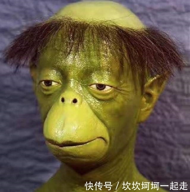 碟子$1991年日本河童现身，通体发绿头顶碟子，曾悬赏1000万抓捕