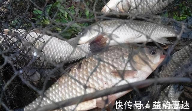 双钩挂蚯蚓野钓,就用这两种调漂方法,操作简单还精准