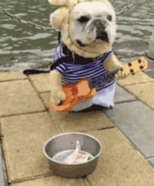 |搞笑GIF:如何优雅不失风度地撩妹 这一招果然厉害