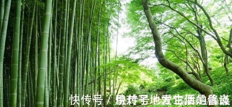 唯美!范成大最经典的一首六言绝句,同样也被低估了,通篇美得令人心醉