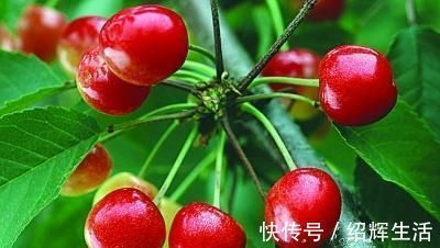 黄豆芽|寿命长的人，都有的4个好习惯，你若能坚持，长寿会与你相伴