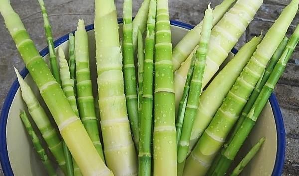 排毒养颜|女人最好的“美容品”,经常吃一点,美容养颜,比面膜管用