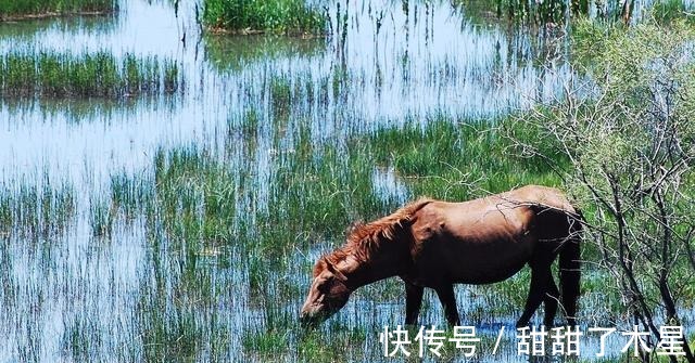 吐峪沟|独库公路去不了，可以看看这段路，或许也可以满足你！