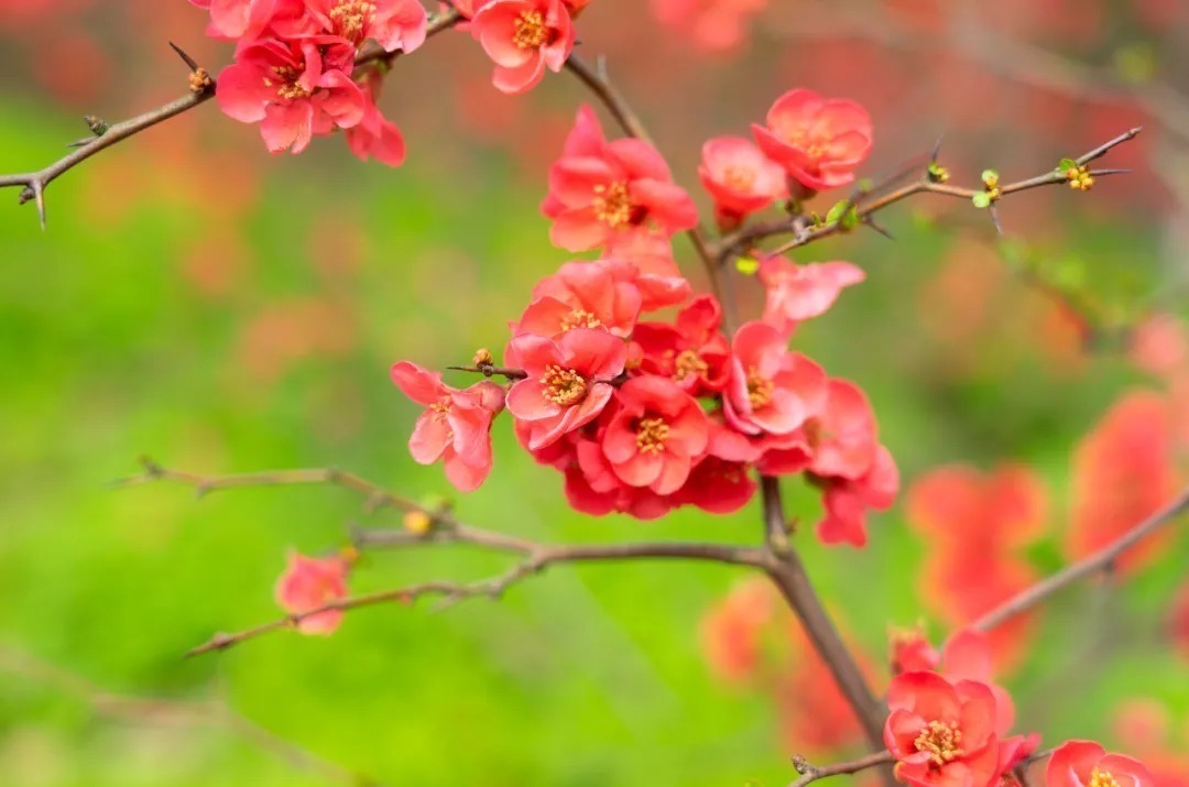 怀念|十位诗人写给妻子的诗,有怀念,有情话,有惋惜