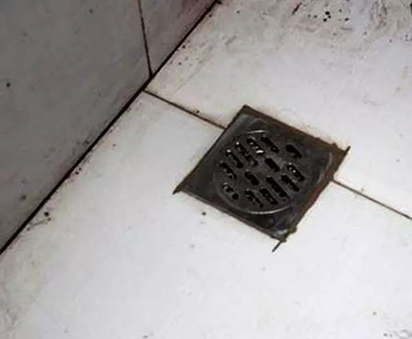 卫生间老有一股臭味，直接用老师傅的办法还挺实用，臭味去无踪