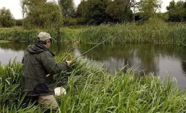 冬季钓鱼误区:“冬钓深水”,老钓手告诉你,这几个位置鲫鱼最多