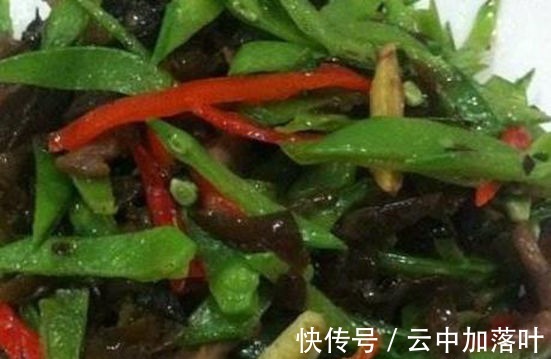 素蒸茄子|美食推荐泰式炒西葫芦面条，素蒸茄子，贵妃鸡翅，双椒炒木！