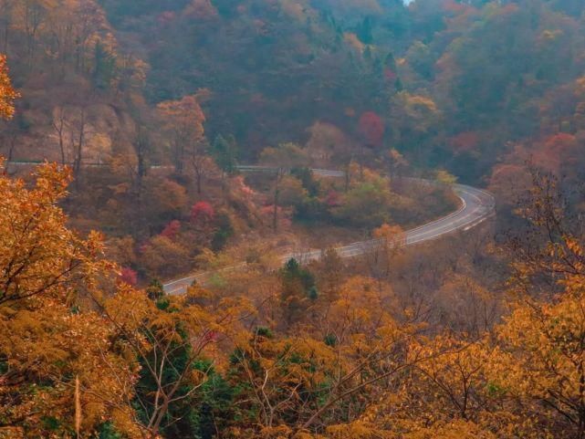 景色|叫板川藏线、美过香格里拉，这条皖西马丁公路，藏尽美景，却少有人知