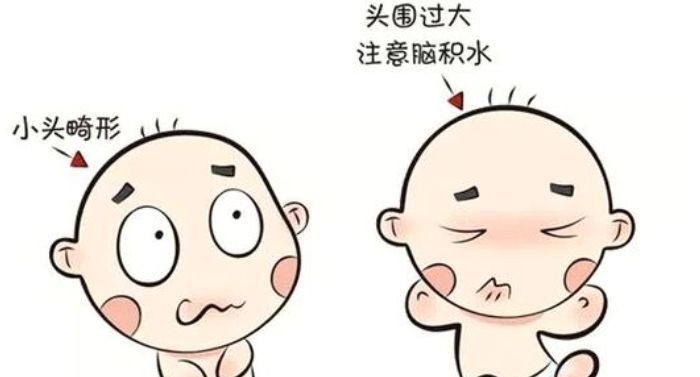 双顶径|双顶径看男女：头小腿长是女孩，头大腿短是男孩？