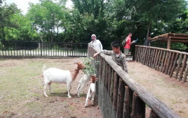 重阳|重阳节登高祈福，老人免费游，陪同子女享门票半价优惠