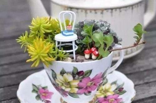 养花|除了花盆之外，这些东西也是绝佳的养花神器，你用过吗？