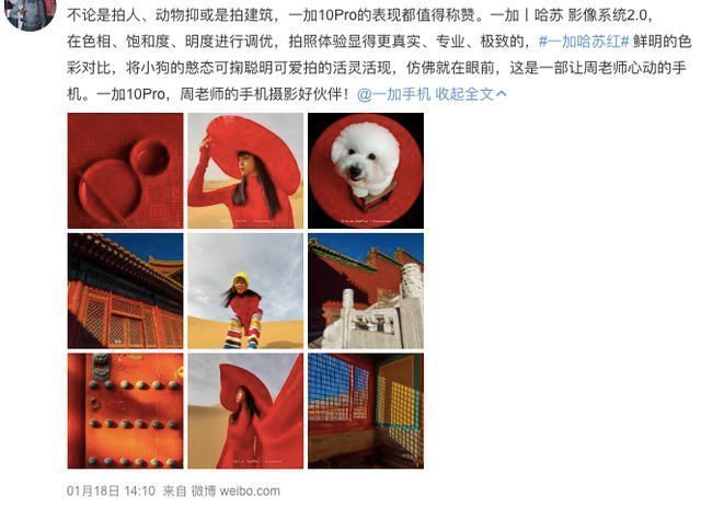 哈苏相机|春节回家完美记录团聚瞬间,这款国产手机直出样张让人心动