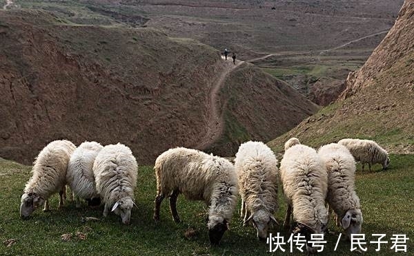 2012世界末日$诺亚方舟是传说?放羊倌发现奇怪“羊皮卷”,专家鉴定后引起轰动