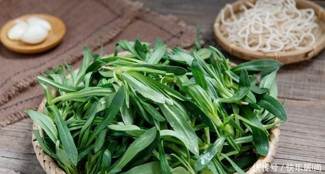 春天的农村里有这40种山珍野菜图片,让你轻松辨别山珍野菜