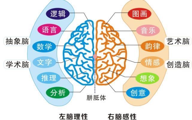 并非|美国心理学家研究高智商儿童的确有共同点，但并非是遗传