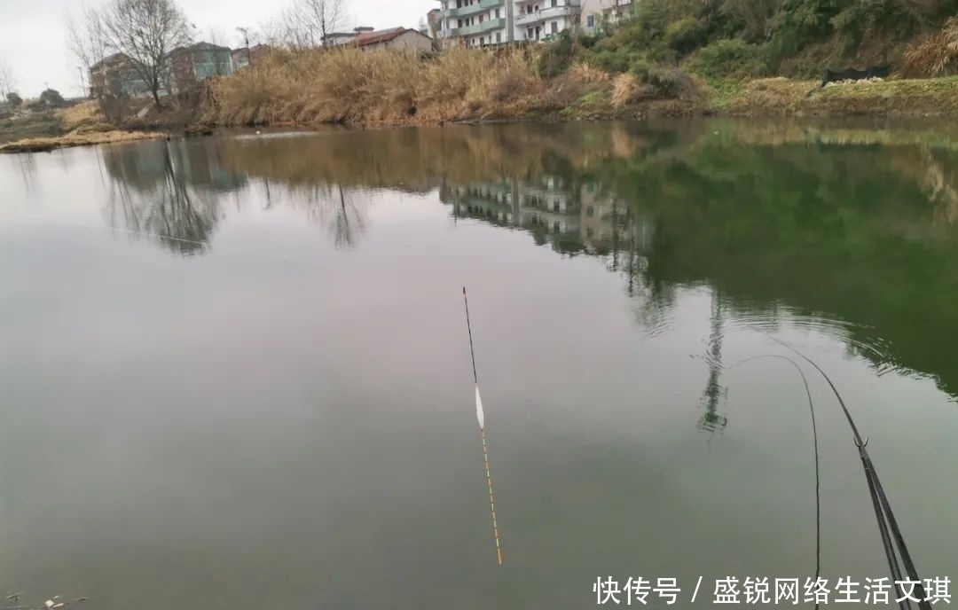 钓位|谁说钓鱼找底不重要?它的作用可不仅是为了调漂,绝不可省略