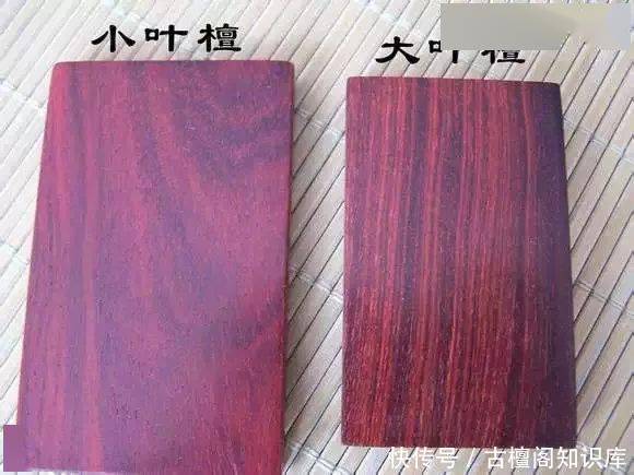 到底|“小叶紫檀”与“大叶紫檀”到底有什么区别?