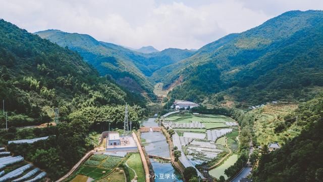 自驾游|周末自驾游，走进遂昌森林氧吧，夏日避暑之地