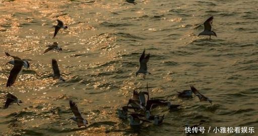 威海|中国宜居城市之一，海上看日出的地方，游泳赶海让人流连忘返