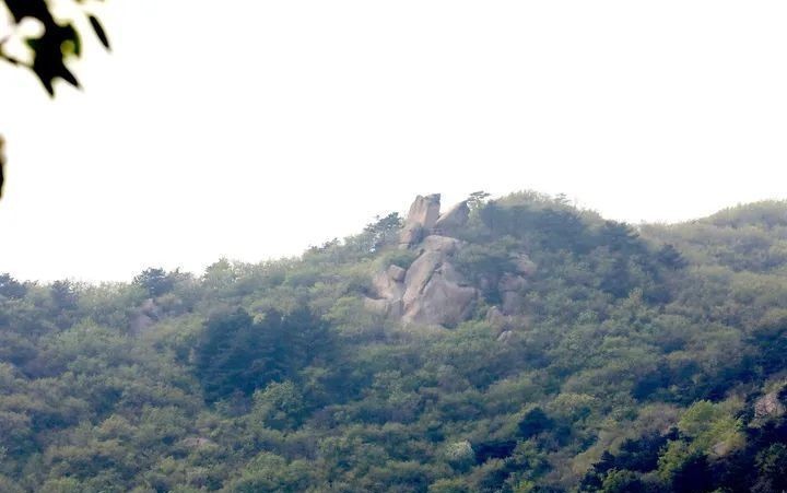 天际|山间梨花陆续开 乾隆绿道待客来