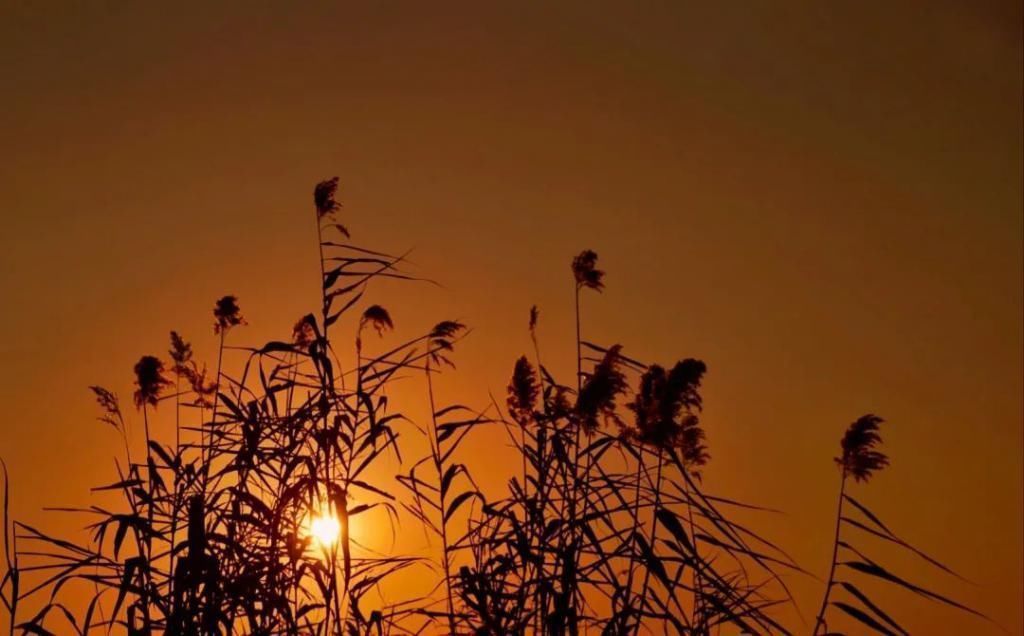 鼋头渚|夕阳无限好，在鼋头渚写醉美的诗给你。