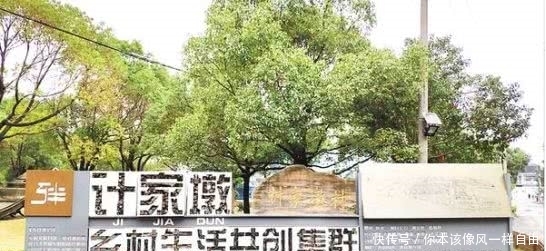 计家|计家墩村告诉你，并不是只靠打造民宿就能搞乡村旅游！