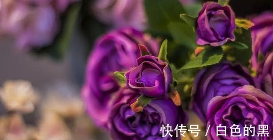 相伴|8月，桃花相伴，姻缘大好的4星座，苍天为证，爱情地老天荒