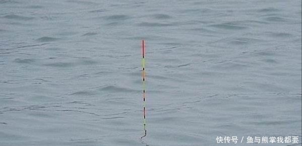 暗流|浮漂上顶很清晰，提竿就是没有鱼，这五种原因皆有可能
