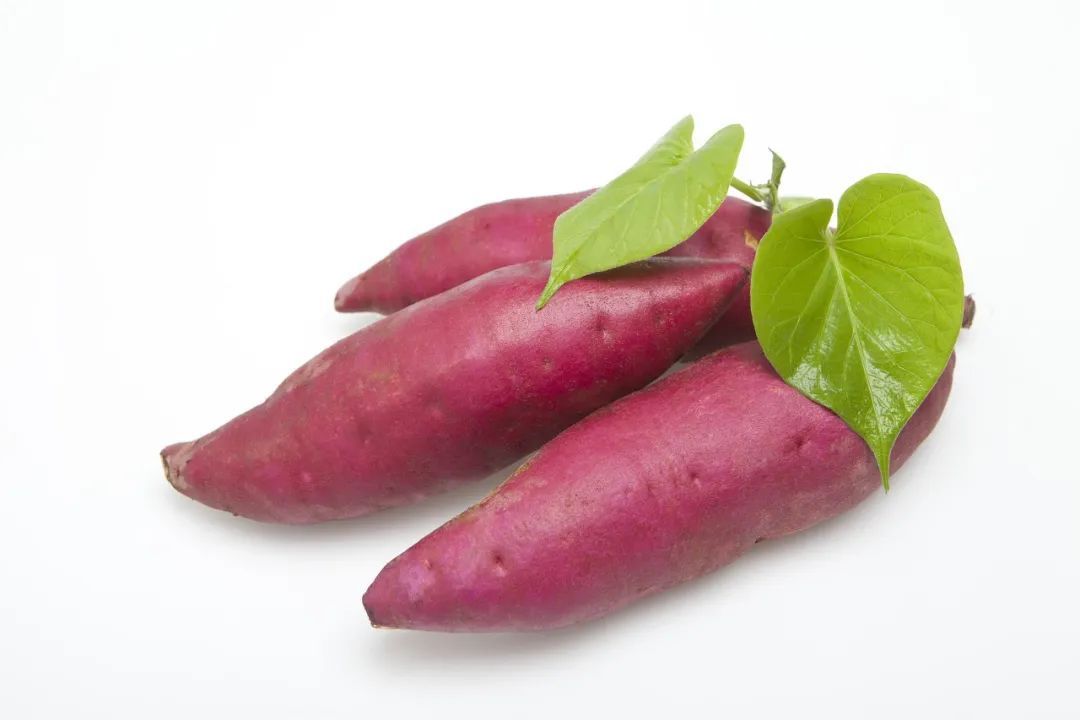 健康食品|别只知道吃烤红薯!换种吃法功效翻倍,不胀气、助长寿!