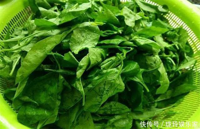 想长寿要先会吃,3种食物换着来,清热排毒,美容瘦身,养护皮肤