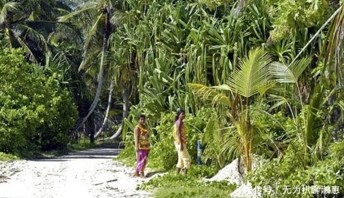 总统|他是华人的后代,当上总统后却与中国断交,想要举国移民被拒绝