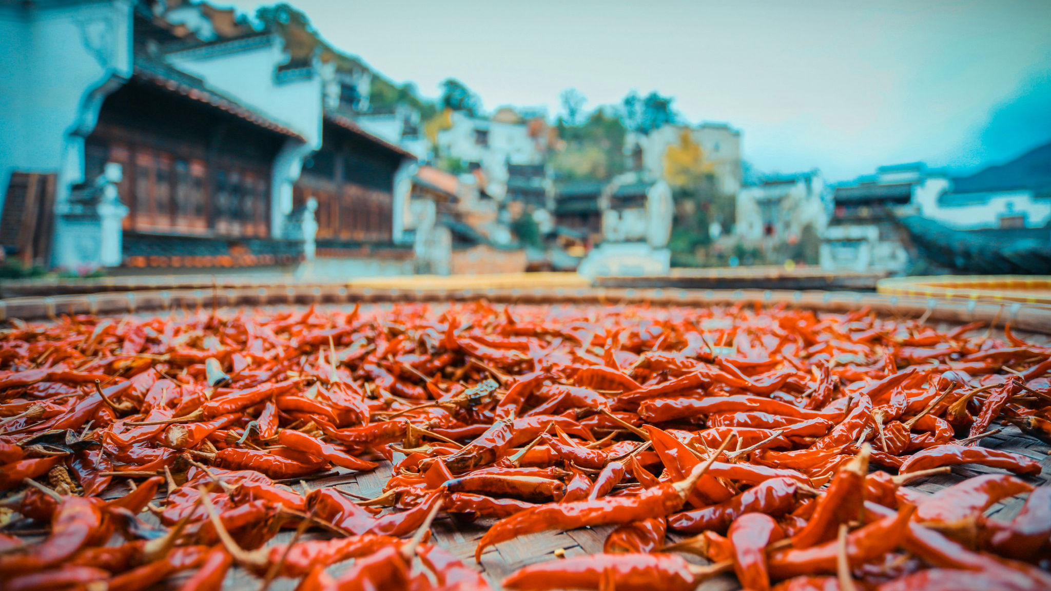 秋游篁岭，绝佳景色