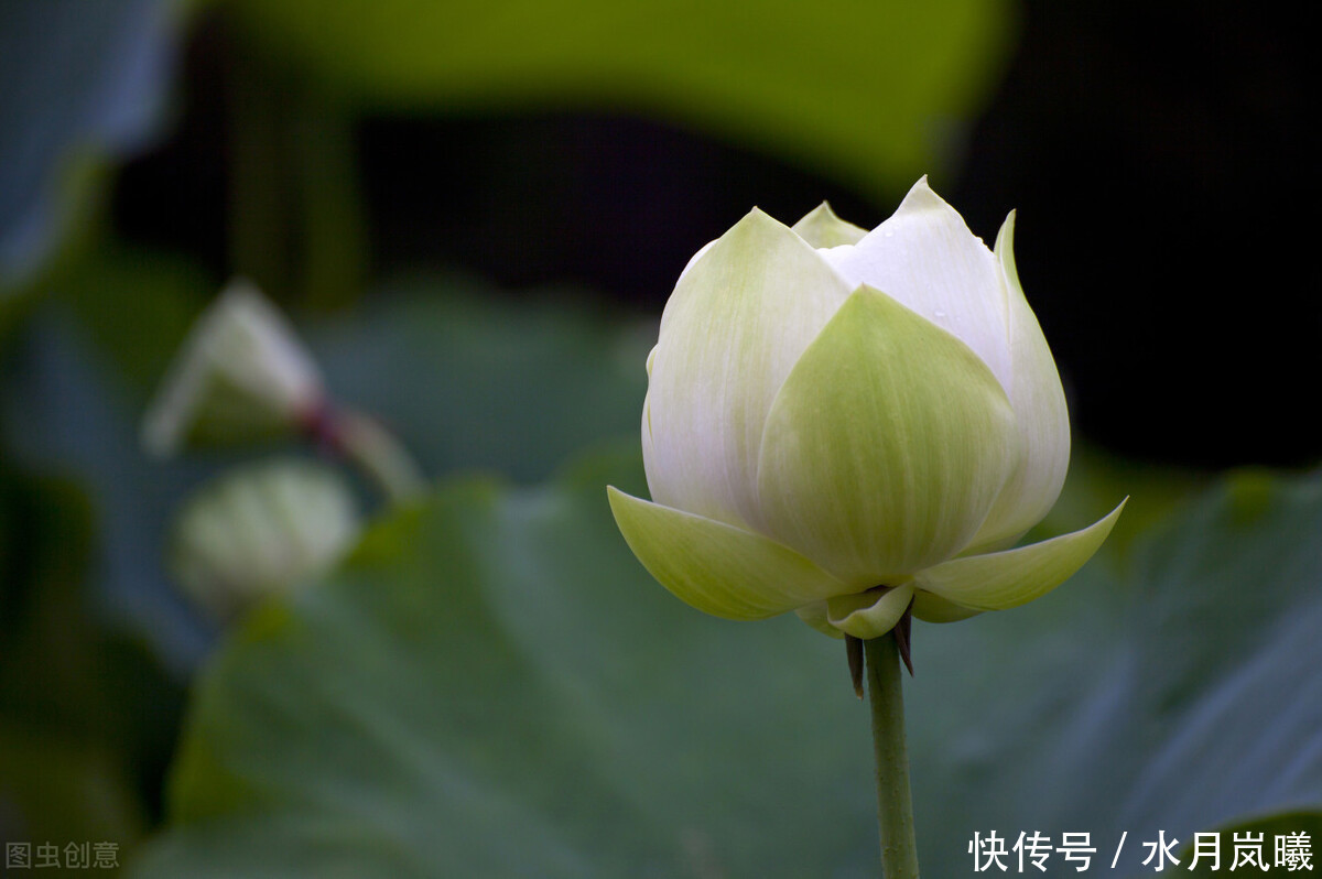 最深处|年华苍翠,时光如许,在红尘最深处,写一个关于风花雪月的故事
