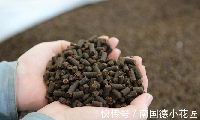 栽种|养花换下来的旧土别扔,加4种东西,比新土还好用