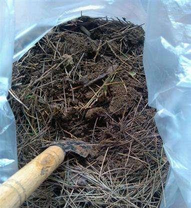 空隙|养花土不用买，3种“垃圾”掺一掺，就是营养土肥沃流油，养花棒