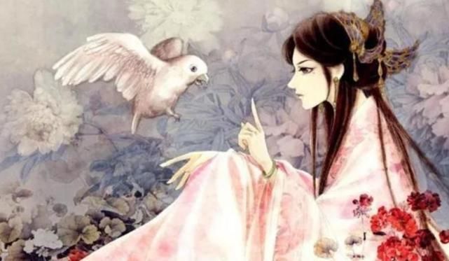 小说!几本完结不久好评颇多的小说,字数足不小白,带来不错的阅读体验