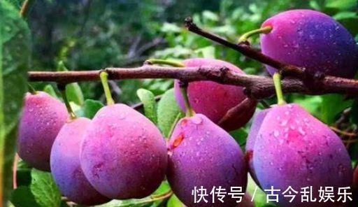 排便|秋季养生要会吃,常吃3物,提高食欲,促进排便,美容肌肤气色好