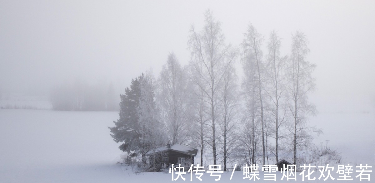 寒鸦#女词人一首七律雪景诗,青山盖雪,寒鸦雀藏,梅花凌寒吐芬芳
